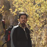 saleh ebrahimi的照片