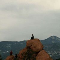 Austin Brown's Photo