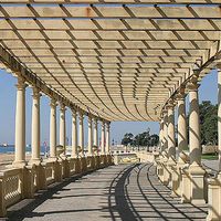 Le foto di Andres199 --