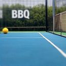 Tennis Bbq And Friends's picture