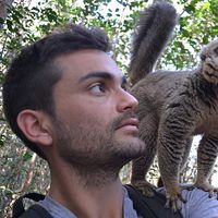 Nicolas Payet's Photo