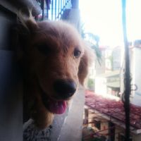 Khải Trần的照片