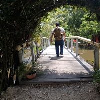 Jhonny Laines Sanchez的照片