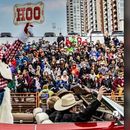 Stampede Parade 's picture