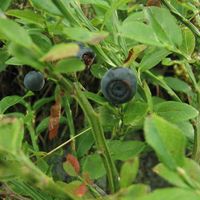 Martín Inés's Photo