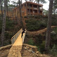 Dikran Najarian的照片