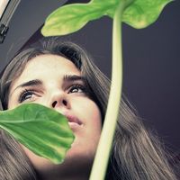 Fotos de Tanja Drobnjak