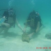 Kauana Fogari's Photo