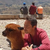 Daniel Przedecki's Photo