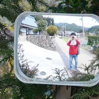 SUNGHO CHOI的照片