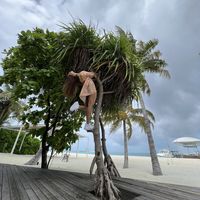 alisha singh的照片