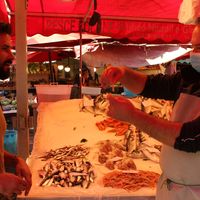 Nicola De Nardi的照片