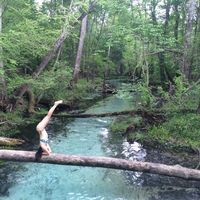 ashley glantz的照片