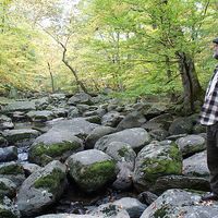 Coby Smolens's Photo