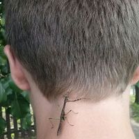 Jake Houseal's Photo