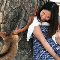 Kelly Nguyen的照片