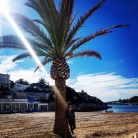 Katerina Vlachava's Photo