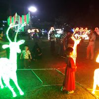 Vishu Singh的照片