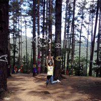 Alejandra Jordá的照片