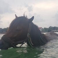 kyko suikini's Photo