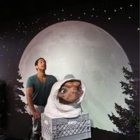 Ron Madar Hallevi's Photo