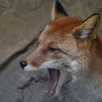 Martin Tessmann's Photo