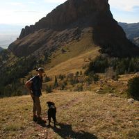 DAVID MARTIN's Photo