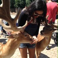 Nicole Rincon's Photo