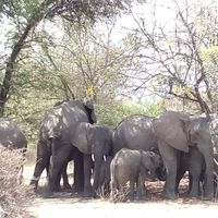 Kissah Nyerere's Photo