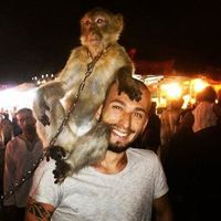 Francesco Vitali的照片