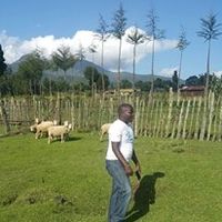 FREDRICK KARANJA's Photo