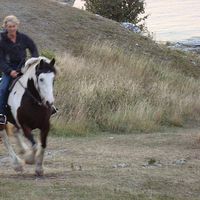 katrin Sundberg's Photo