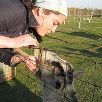 Mary Carolan's Photo