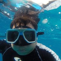 Ed Serafica的照片