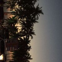 kittikarn srimuang的照片