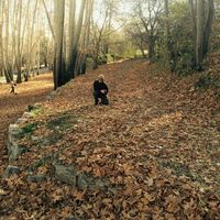 siavash firoozmanesh's Photo