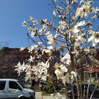 Gabriel Velastegui的照片