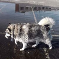 Alberto Carrero Rubio's Photo