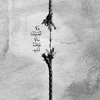 Photos de Waleed Youssef