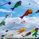 Drachenfest  - Kite festival 2024的照片