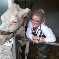 Fotos de Ann Sönnichsen