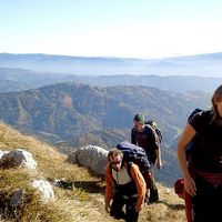 Judith Schaller的照片