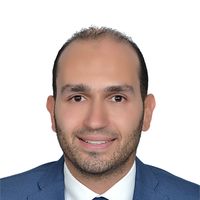 Mohamad Sherif Mahboub的照片