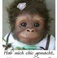 Fotos de Bettina Rosmarie Fechner-Meridji