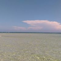 Padmaja Ganti's Photo