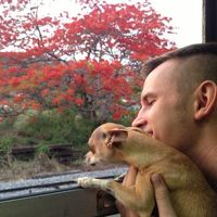 Roman Dyachuk's Photo