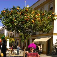 David Kondas's Photo