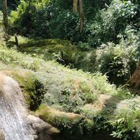 Mathias Rishøj's Photo