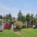 Picnic Xochimilco con causa 's picture