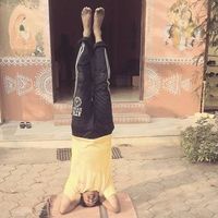 Sudesh Gupta的照片